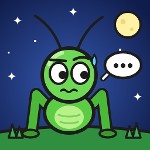 Awkward cricket
