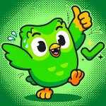 Duolingo Corect
