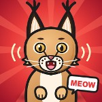 floppa_meow_1