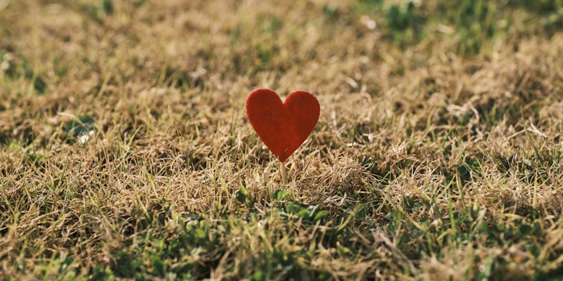How to Use Valentine Sound Effects for Viral TikToks and Reels